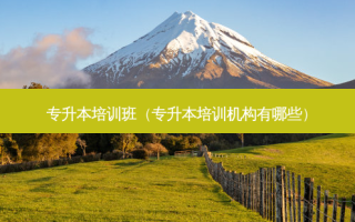 专升本培训班（专升本培训机构有哪些）