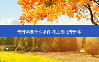 专升本要什么条件 考上湖北专升本