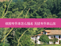 统招专升本怎么报名 无忧专升本山东