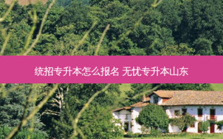 统招专升本怎么报名 无忧专升本山东