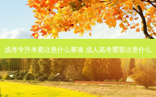 成考专升本要注意什么事项 成人高考需要注意什么
