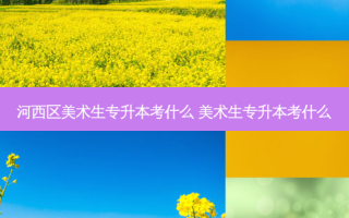河西区美术生专升本考什么 美术生专升本考什么