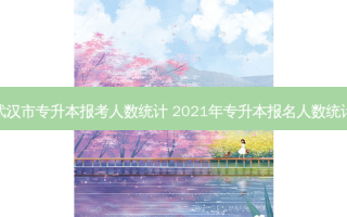 武汉市专升本报考人数统计 2021年专升本报名人数统计