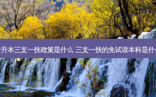 专升本三支一扶政策是什么 三支一扶的免试读本科是什么