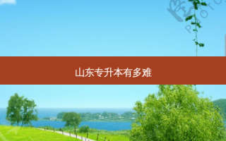 山东专升本有多难