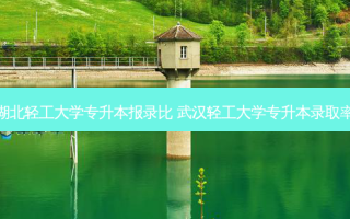 湖北轻工大学专升本报录比 武汉轻工大学专升本录取率