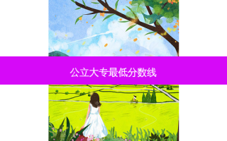 公立大专 *** 低分数线