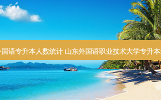山东外国语专升本人数统计 山东外国语职业技术大学专升本录取线