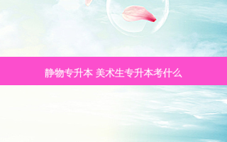 静物专升本 美术生专升本考什么