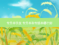 专升本学友 专升本和专插本哪个好