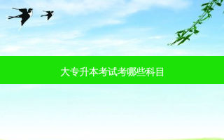 大专升本考试考哪些科目