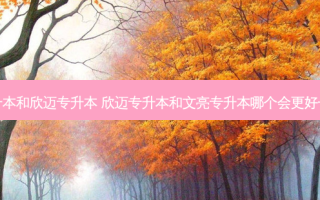 文亮专升本和欣迈专升本 欣迈专升本和文亮专升本哪个会更好一些急需