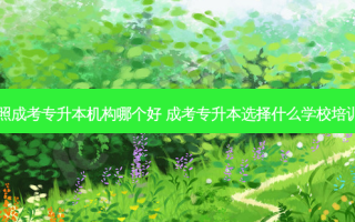 日照成考专升本机构哪个好 成考专升本选择什么学校培训呢