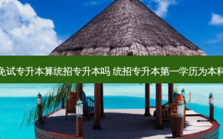 免试专升本算统招专升本吗 统招专升本之一学历为本科