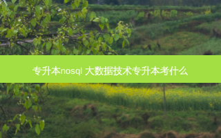专升本nosql 大数据技术专升本考什么
