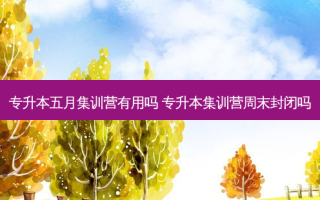 专升本五月集训营有用吗 专升本集训营周末封闭吗