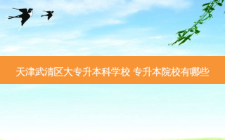 天津武清区大专升本科学校 专升本院校有哪些