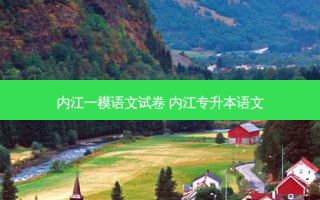 内江一模语文试卷 内江专升本语文
