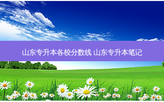 山东专升本各校分数线 山东专升本笔记