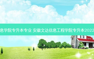 文达信息学院专升本专业 安徽文达信息工程学院专升本2022分数线