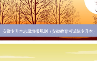 安徽专升本志愿填报规则（安徽教育考试院专升本）