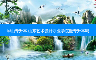 华山专升本 山东艺术设计职业学院能专升本吗