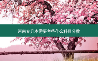河南专升本需要考些什么科目分数