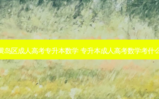 黄岛区成人高考专升本数学 专升本成人高考数学考什么