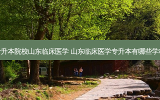 专升本院校山东临床医学 山东临床医学专升本有哪些学校