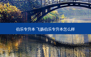 伯乐专升本 飞扬伯乐专升本怎么样