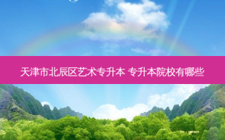 天津市北辰区艺术专升本 专升本院校有哪些