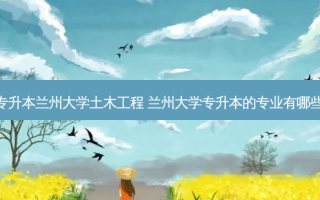 专升本兰州大学土木工程 兰州大学专升本的专业有哪些
