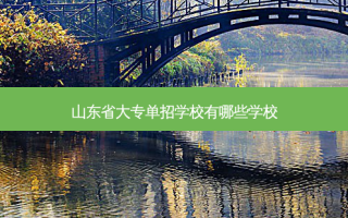 山东省大专单招学校有哪些学校