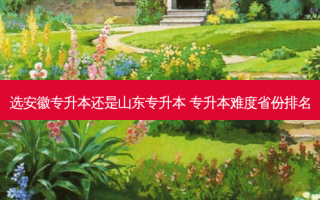 选安徽专升本还是山东专升本 专升本难度省份排名