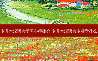 专升本汉语言学习心得体会 专升本汉语言专业学什么