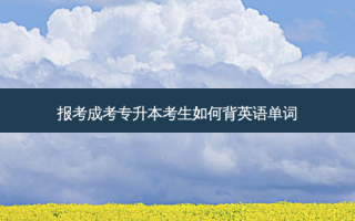 报考成考专升本考生如何背英语单词