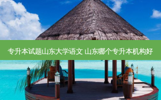 专升本试题山东大学语文 山东哪个专升本机构好
