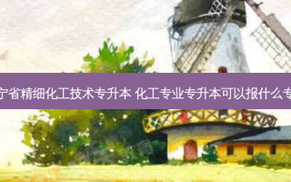 辽宁省精细化工技术专升本 化工专业专升本可以报什么专业