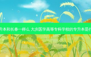 大庆专升本和长春一样么 大庆医学高等专科学校的专升本是什么样的