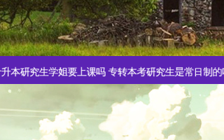 专升本研究生学姐要上课吗 专转本考研究生是常日制的吗