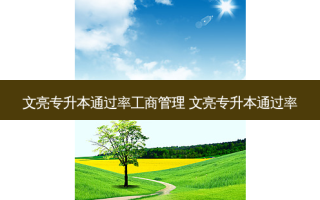 文亮专升本通过率工商管理 文亮专升本通过率