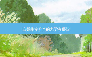 安徽能专升本的大学有哪些
