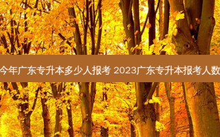 今年广东专升本多少人报考 2023广东专升本报考人数