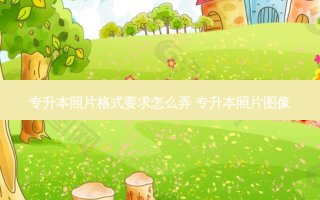 专升本照片格式要求怎么弄 专升本照片图像