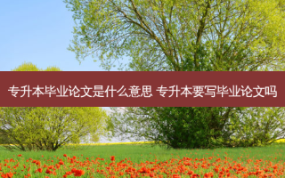 专升本毕业论文是什么意思 专升本要写毕业论文吗
