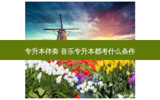 专升本伴奏 音乐专升本都考什么条件