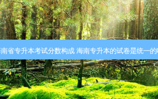 海南省专升本考试分数构成 海南专升本的试卷是统一的吗