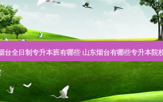 烟台全日制专升本班有哪些 山东烟台有哪些专升本院校