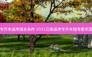 德宏专升本成考报名条件 2021云南成考专升本报考要求是什么