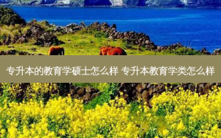 专升本的教育学硕士怎么样 专升本教育学类怎么样